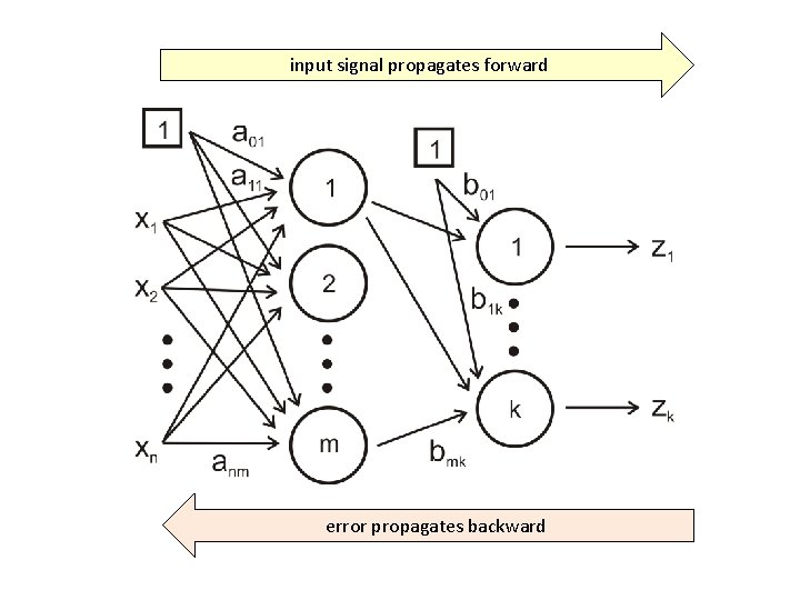 input signal propagates forward error propagates backward 