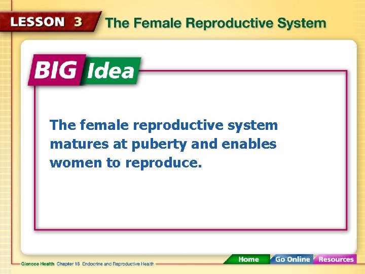 The female reproductive system matures at puberty and enables women to reproduce. 