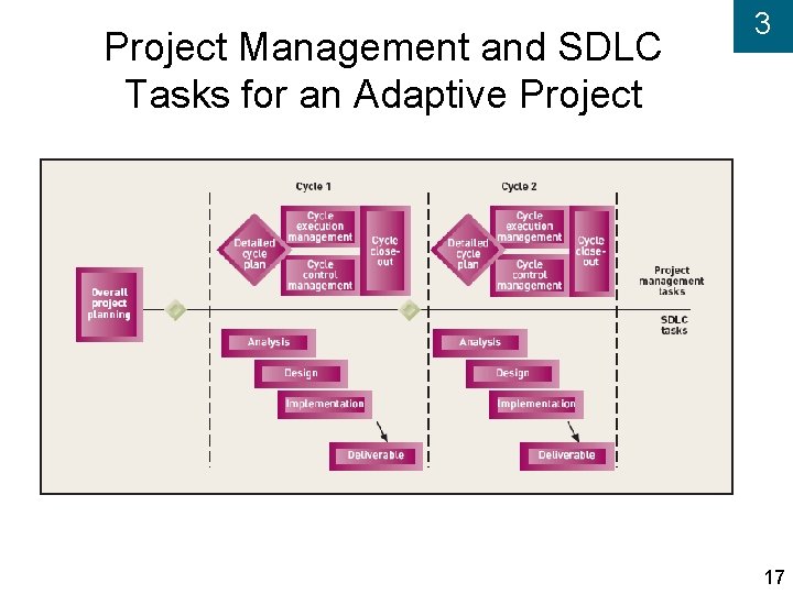 Project Management and SDLC Tasks for an Adaptive Project 3 17 