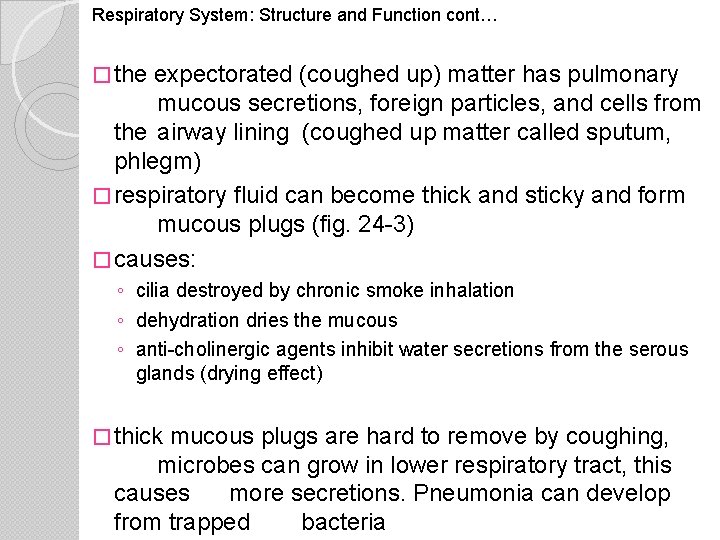 Respiratory System: Structure and Function cont… � the expectorated (coughed up) matter has pulmonary