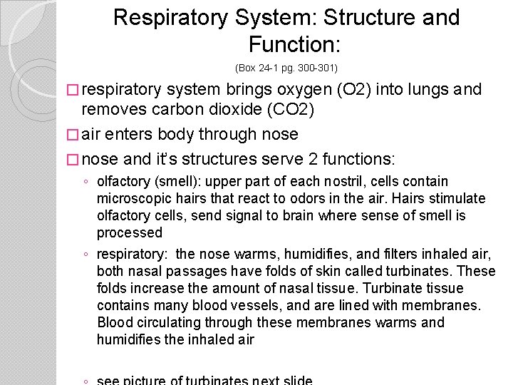 Respiratory System: Structure and Function: (Box 24 -1 pg. 300 -301) � respiratory system