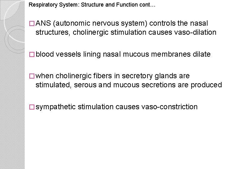 Respiratory System: Structure and Function cont… � ANS (autonomic nervous system) controls the nasal