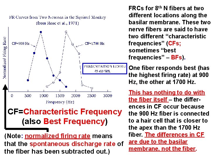 FRCs for 8 th N fibers at two different locations along the basilar membrane.