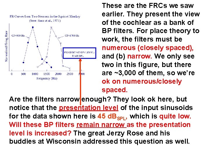 These are the FRCs we saw earlier. They present the view of the cochlear