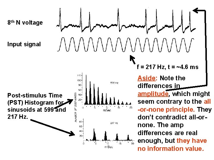 8 th N voltage Input signal f = 217 Hz, t = ~4. 6