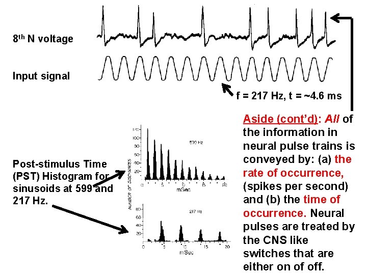 8 th N voltage Input signal f = 217 Hz, t = ~4. 6