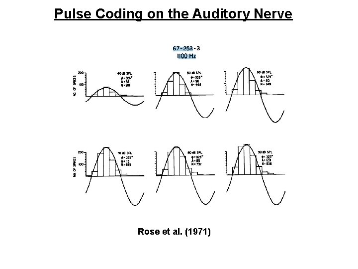 Pulse Coding on the Auditory Nerve Rose et al. (1971) 