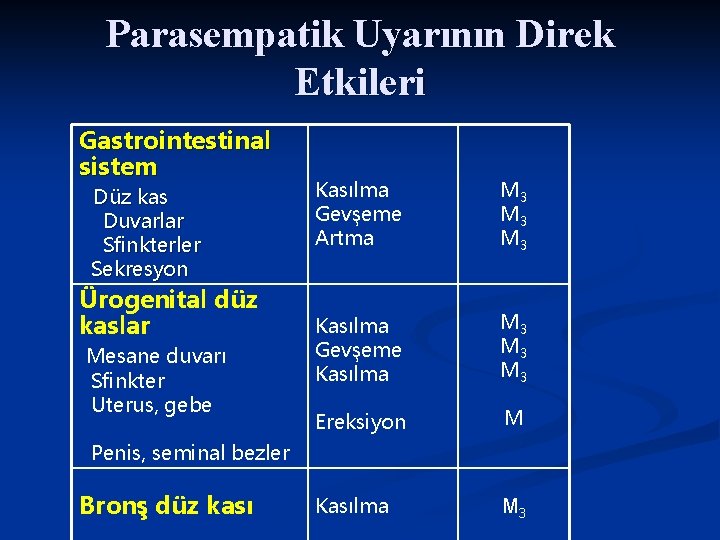 Parasempatik Uyarının Direk Etkileri Gastrointestinal sistem Düz kas Duvarlar Sfinkterler Sekresyon Ürogenital düz kaslar