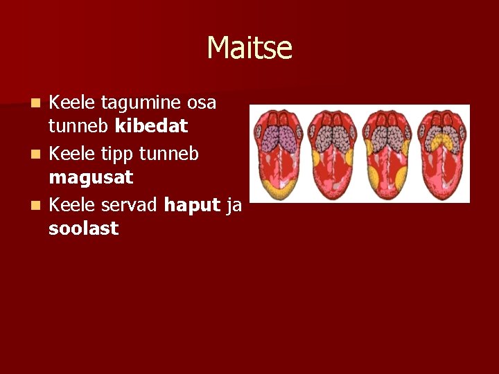 Maitse Keele tagumine osa tunneb kibedat n Keele tipp tunneb magusat n Keele servad