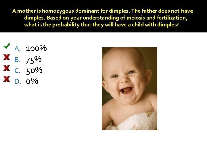 A mother is homozygous dominant for dimples. The father does not have dimples. Based