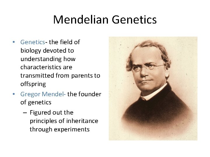 Mendelian Genetics • Genetics- the field of biology devoted to understanding how characteristics are