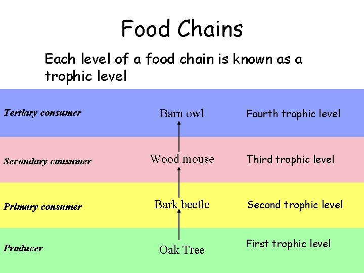 Food Chains Each level of a food chain is known as a trophic level