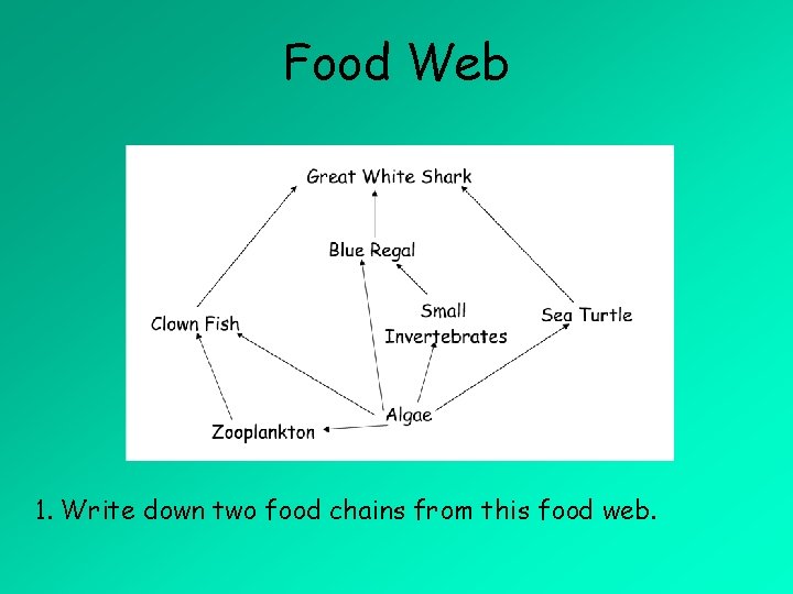 Food Web 1. Write down two food chains from this food web. 