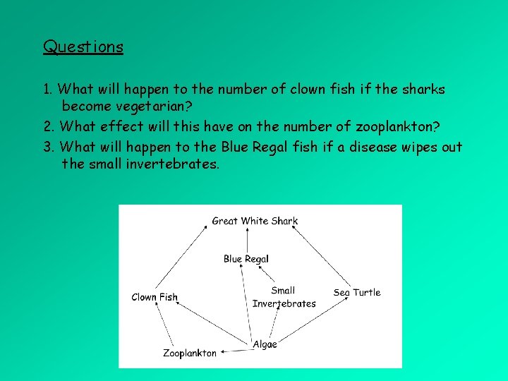 Questions 1. What will happen to the number of clown fish if the sharks