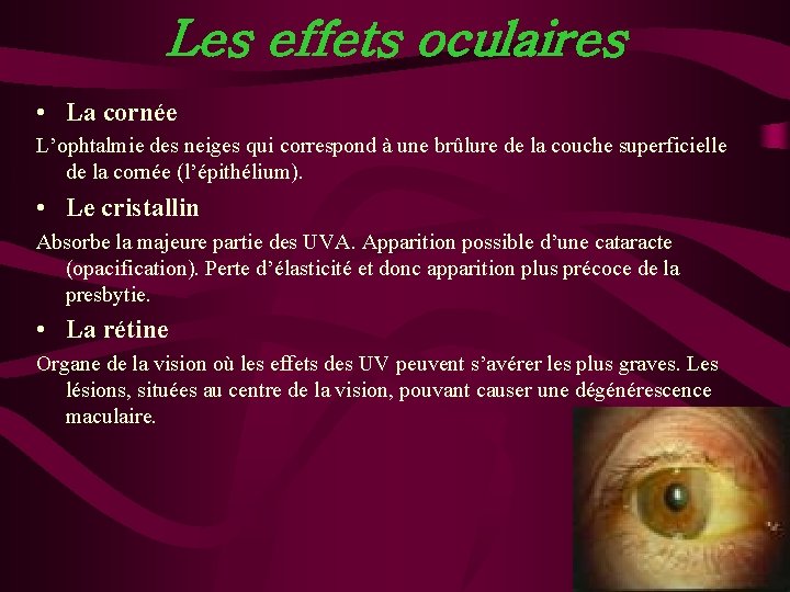 Les effets oculaires • La cornée L’ophtalmie des neiges qui correspond à une brûlure