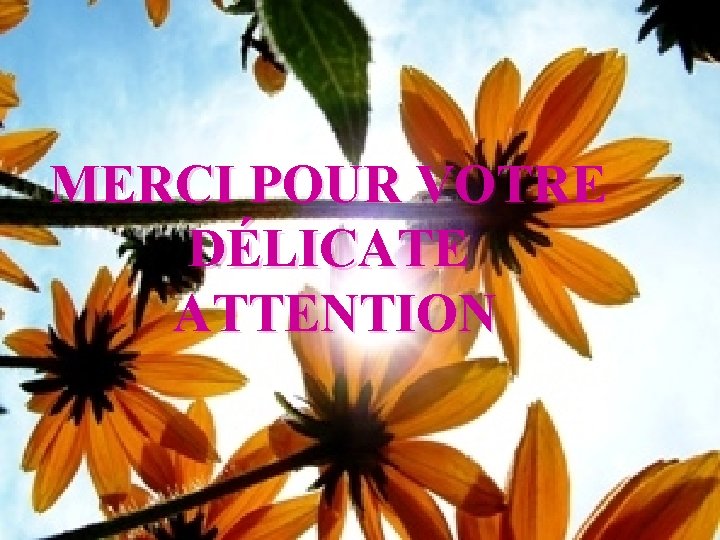 MERCI POUR VOTRE DÉLICATE ATTENTION 