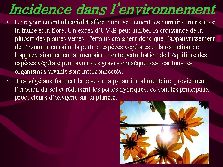 Incidence dans l’environnement • Le rayonnement ultraviolet affecte non seulement les humains, mais aussi