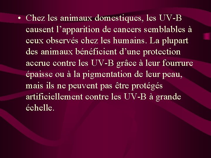  • Chez les animaux domestiques, les UV-B causent l’apparition de cancers semblables à