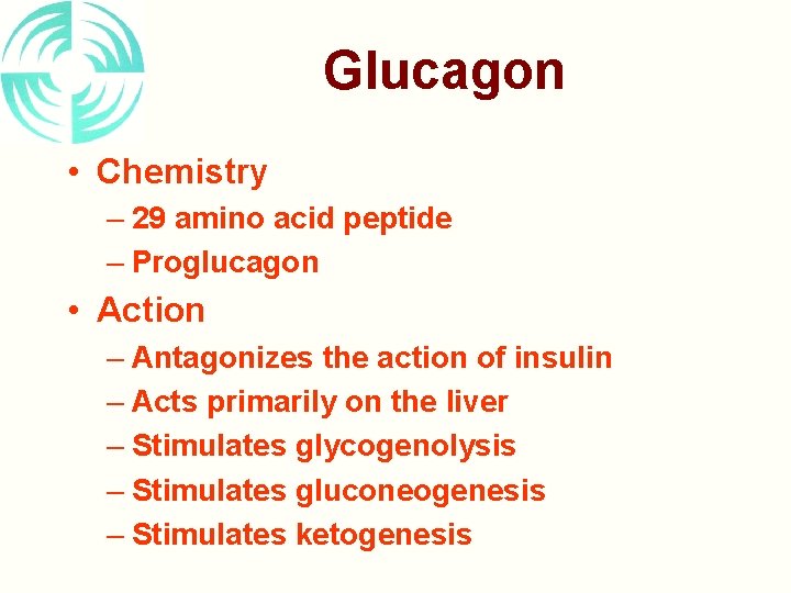 Glucagon • Chemistry – 29 amino acid peptide – Proglucagon • Action – Antagonizes