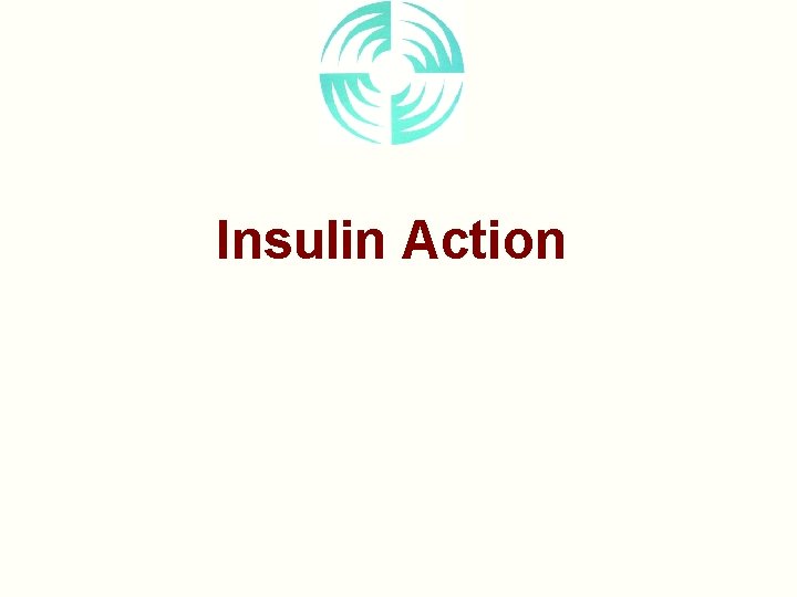 Insulin Action 