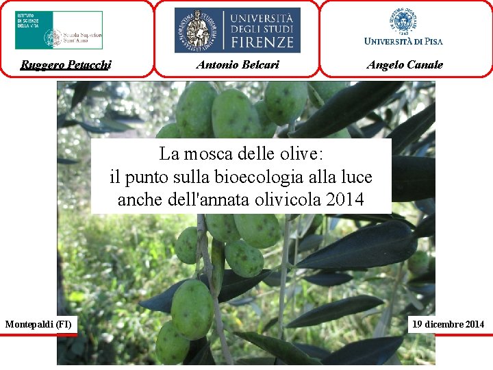 Ruggero Petacchi Antonio Belcari Angelo Canale La mosca delle olive: il punto sulla bioecologia