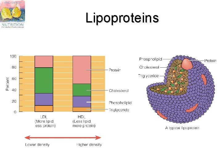 Lipoproteins 