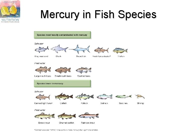 Mercury in Fish Species 