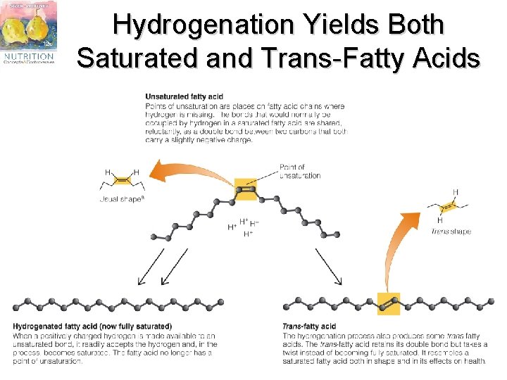 Hydrogenation Yields Both Saturated and Trans-Fatty Acids 