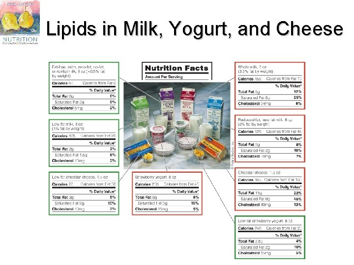 Lipids in Milk, Yogurt, and Cheese 