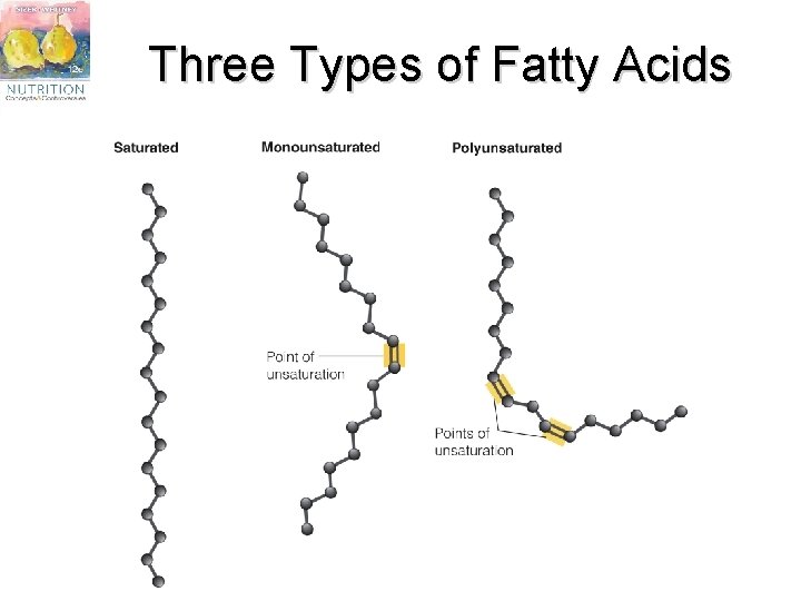 Three Types of Fatty Acids 