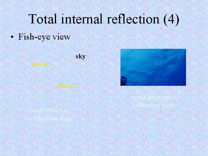 Total internal reflection (4) • Fish-eye view sky waves see Youthe seesky here You Total internal reflection (4) • Fish-eye view sky waves see Youthe seesky here You