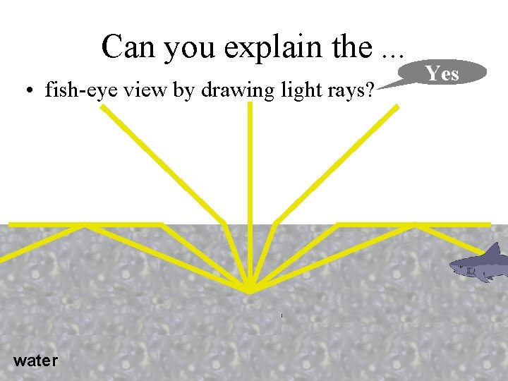 Can you explain the. . . • fish-eye view by drawing light rays? water Can you explain the. . . • fish-eye view by drawing light rays? water