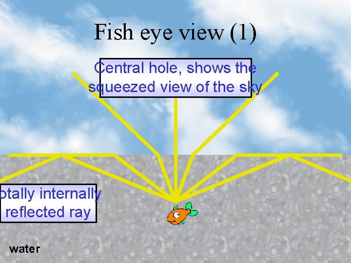 Fish eye view (1) Central hole, shows the squeezed view of the sky otally Fish eye view (1) Central hole, shows the squeezed view of the sky otally