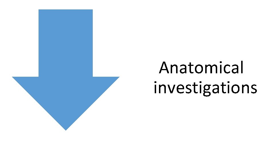 Anatomical investigations 