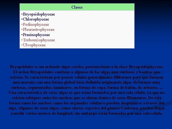 Clases • Bryopsidophyceae • Chlorophyceae • Pedinophyceae • Pleurastrophyceae • Prasinophyceae • Trebouxiophyceae •