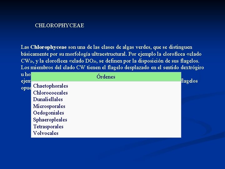 CHLOROPHYCEAE Las Chlorophyceae son una de las clases de algas verdes, que se distinguen