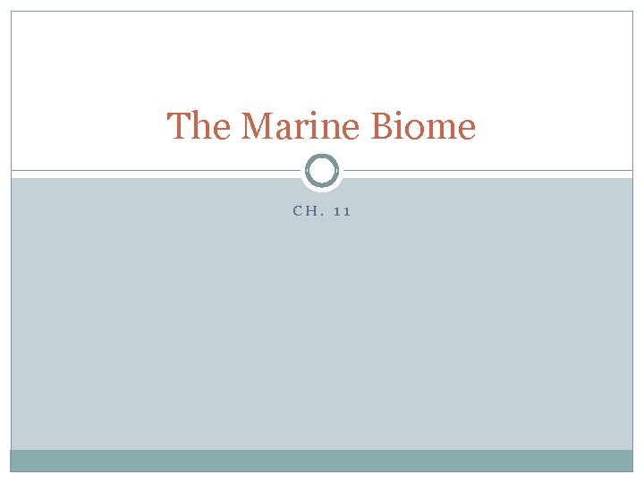 The Marine Biome CH. 11 