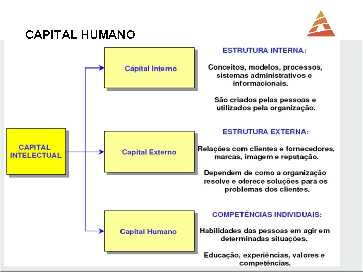 CAPITAL HUMANO Paulo Martins Profº Waldmir Assis E-mail: paulo. rmartins@anhanguera. com 8 