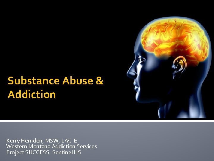 Substance Abuse & Addiction Kerry Herndon, MSW, LAC-E Western Montana Addiction Services Project SUCCESS-