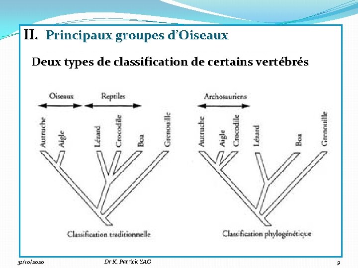 II. Principaux groupes d’Oiseaux Deux types de classification de certains vertébrés 31/10/2020 Dr K.