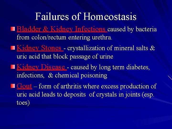 Failures of Homeostasis Bladder & Kidney Infections caused by bacteria from colon/rectum entering urethra.