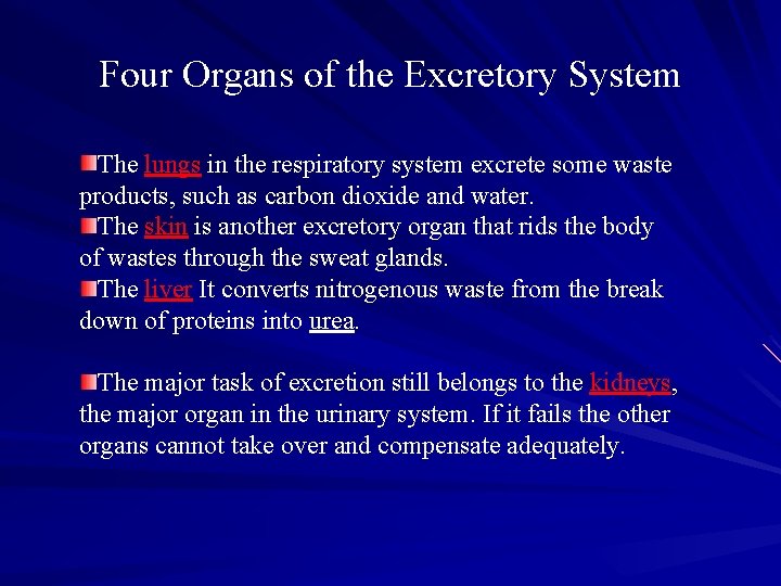 Four Organs of the Excretory System The lungs in the respiratory system excrete some