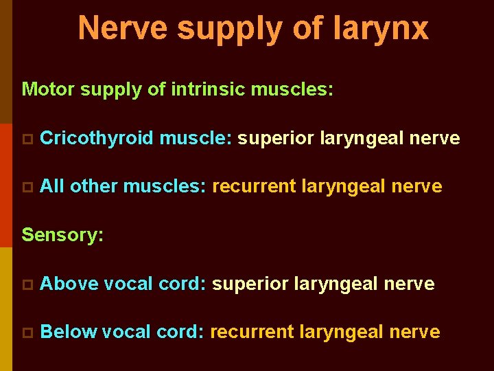 Nerve supply of larynx Motor supply of intrinsic muscles: p Cricothyroid muscle: superior laryngeal