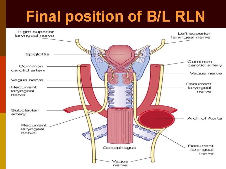 Vocal Cord Palsy Evaluation Of Hoarseness Dr Vishal
