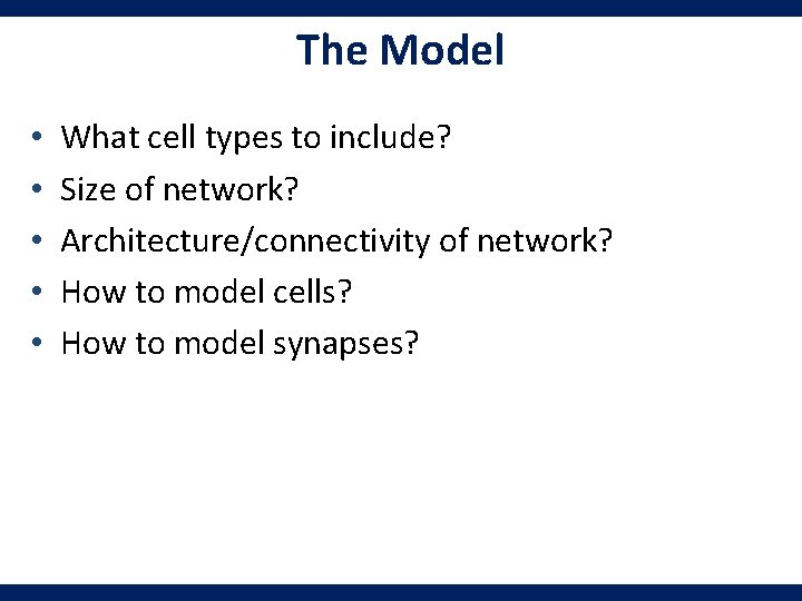 The Model • • • What cell types to include? Size of network? Architecture/connectivity