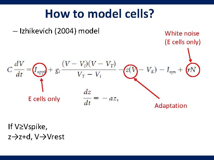 How to model cells? – Izhikevich (2004) model E cells only If V≥Vspike, z→z+d,
