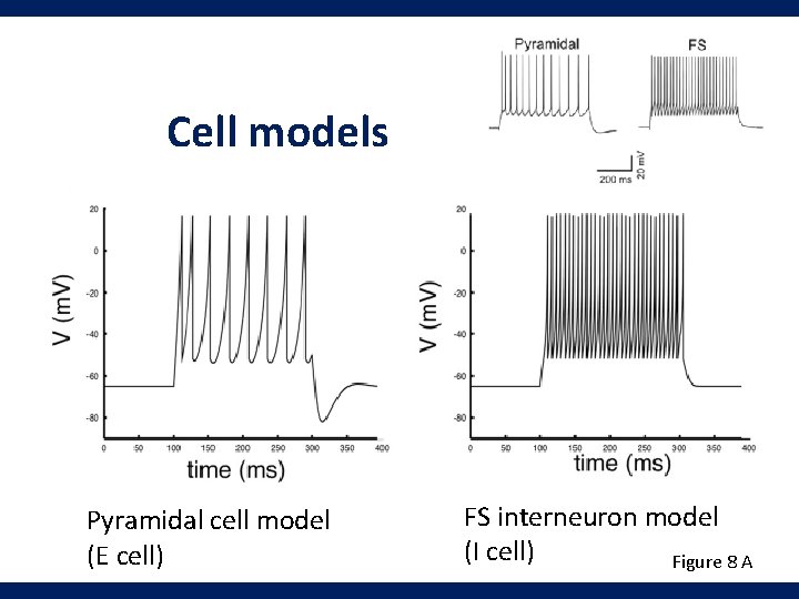 Cell models Pyramidal cell model (E cell) FS interneuron model (I cell) Figure 8