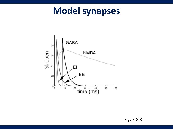 Model synapses Figure 8 B 