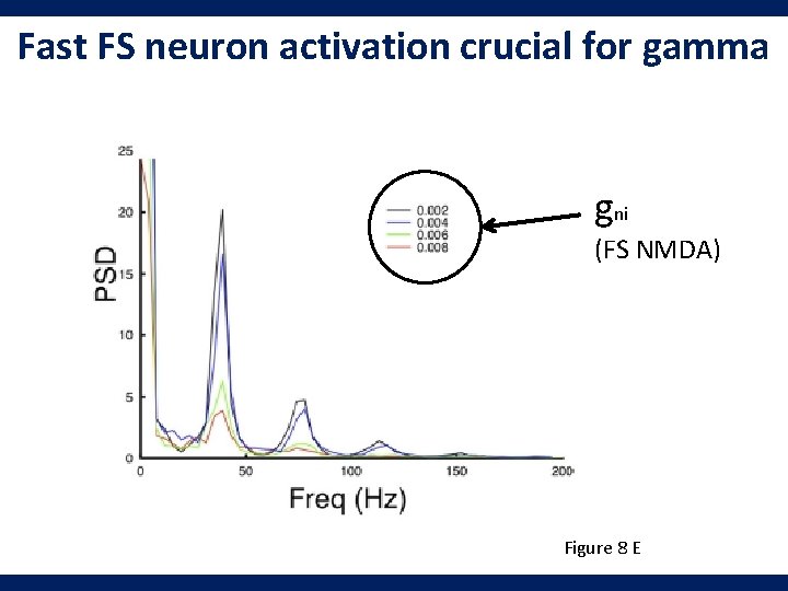 Fast FS neuron activation crucial for gamma gni (FS NMDA) Figure 8 E 