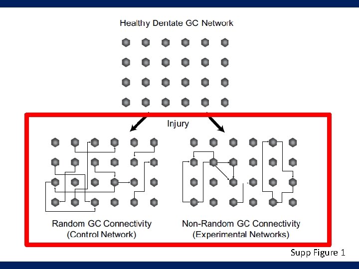 Supp Figure 1 